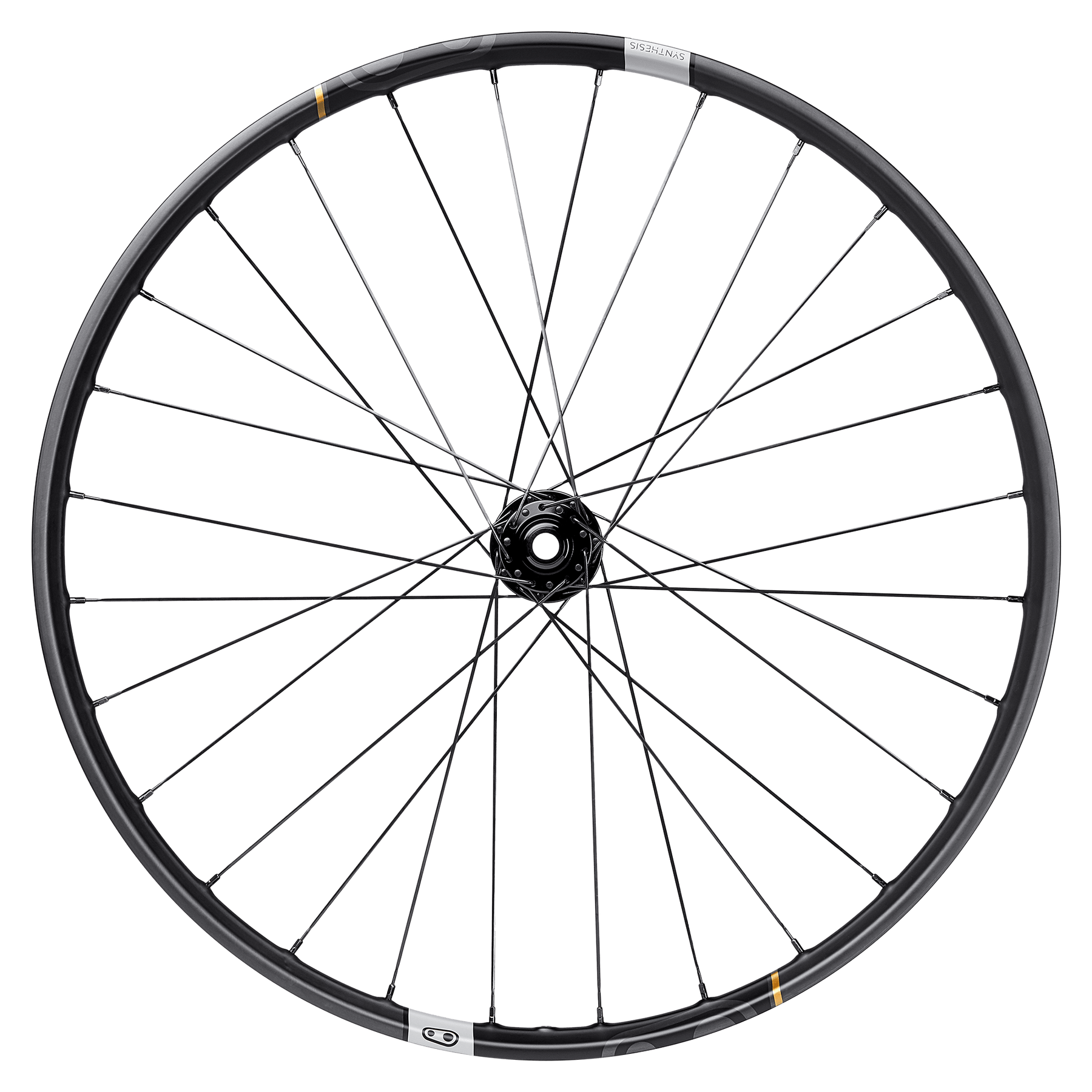 Synthesis Enduro Carbon