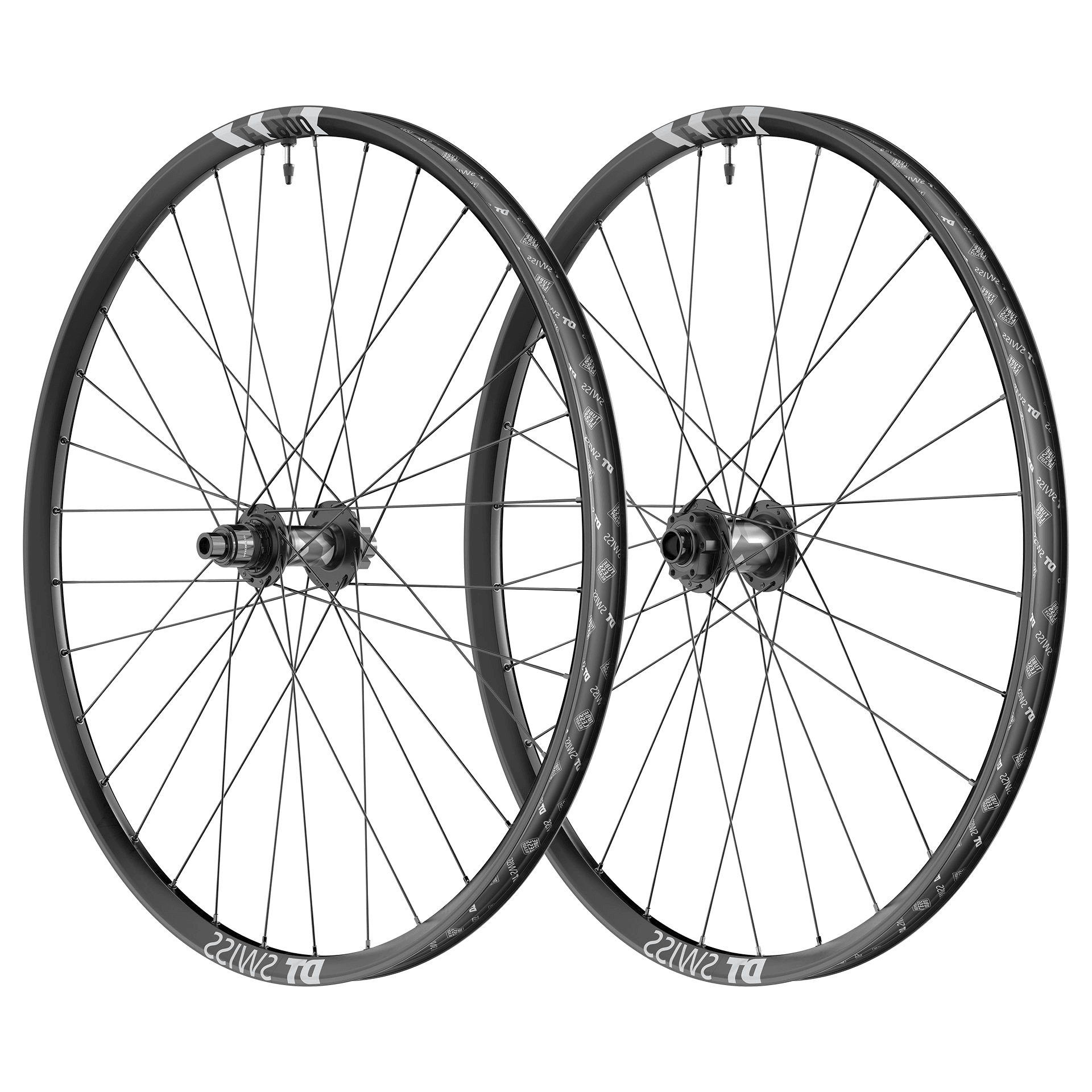 F 1900 Classic - Image 2