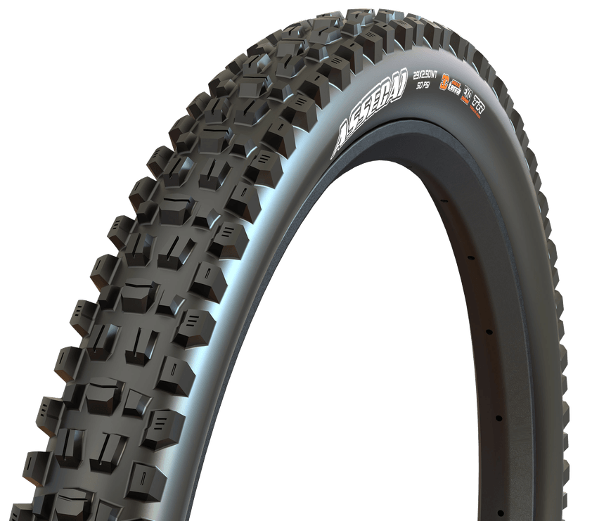 Assegai e-MTB