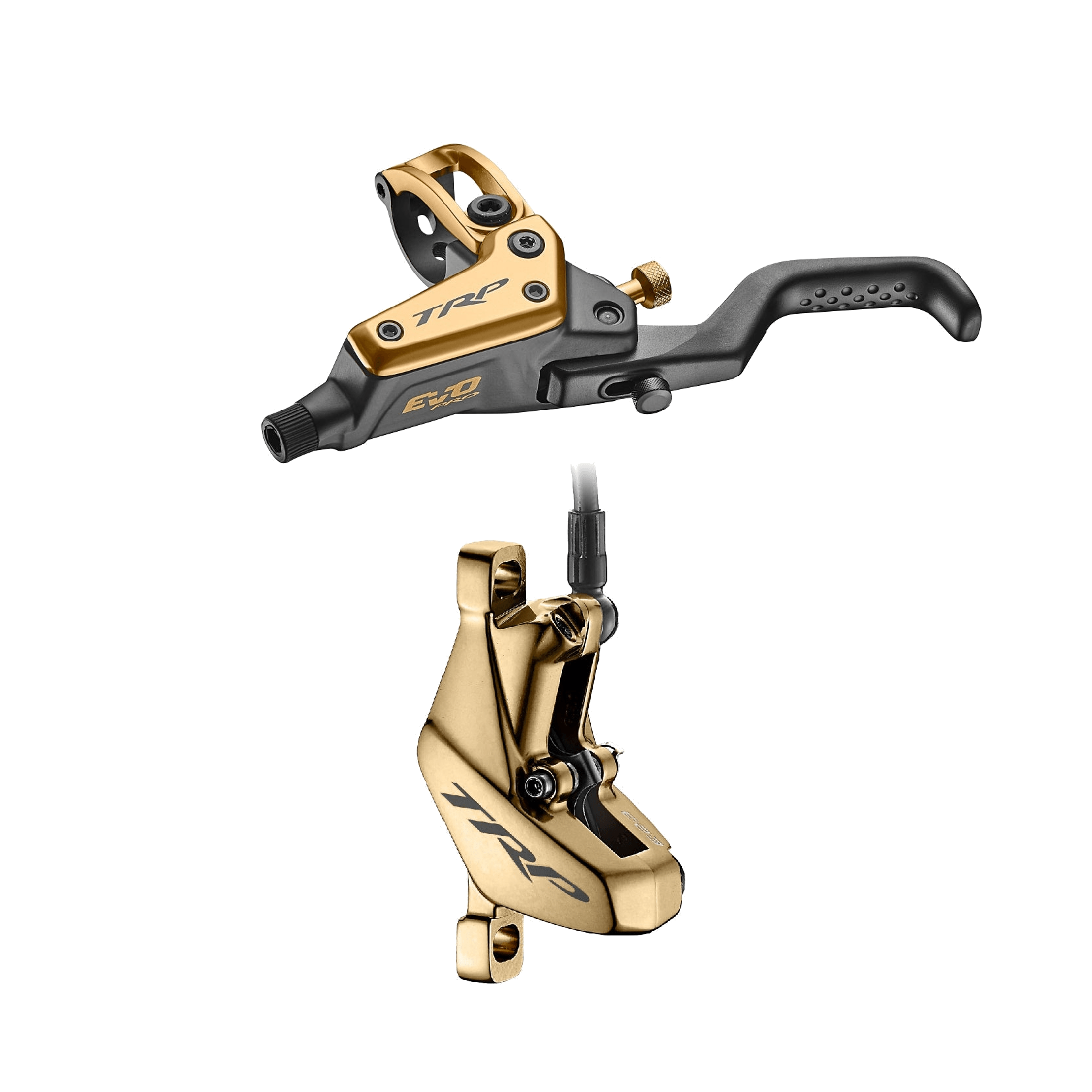 EVO PRO - Image 2
